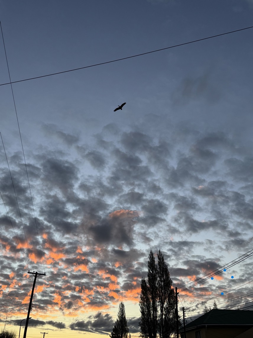 Cielos - Calafate foto 14