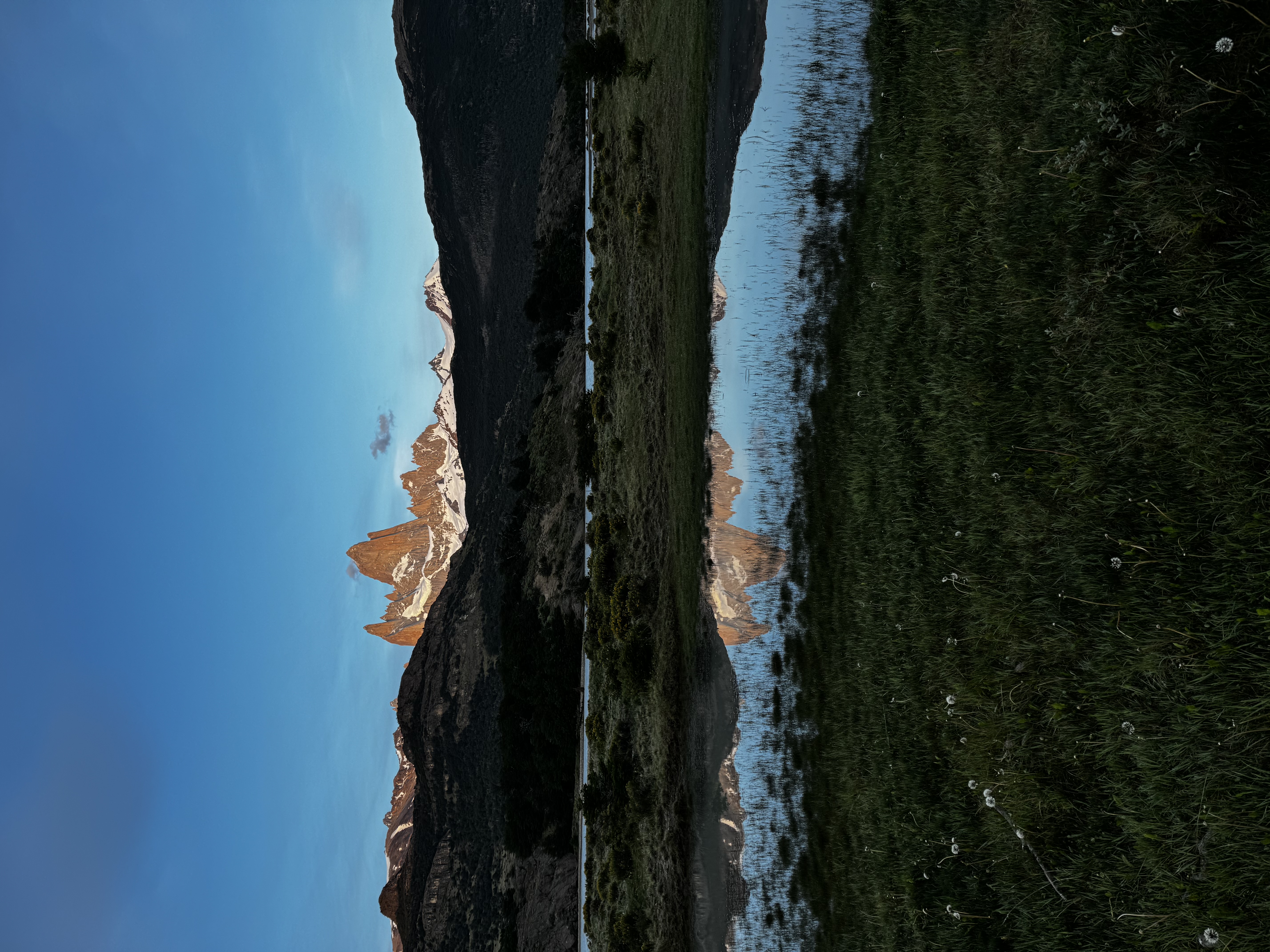 Calafate foto 3