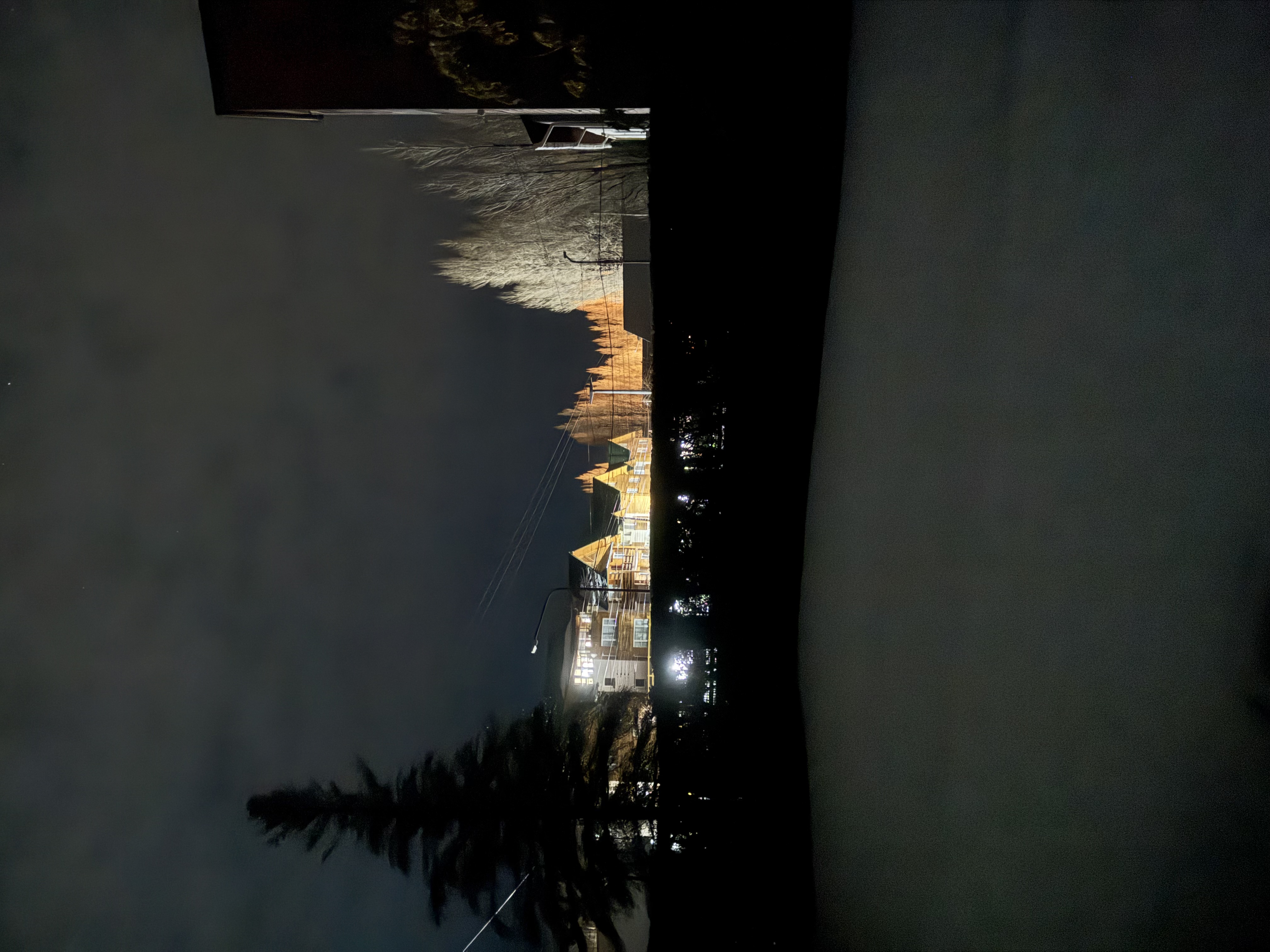 Descripción de la foto 39