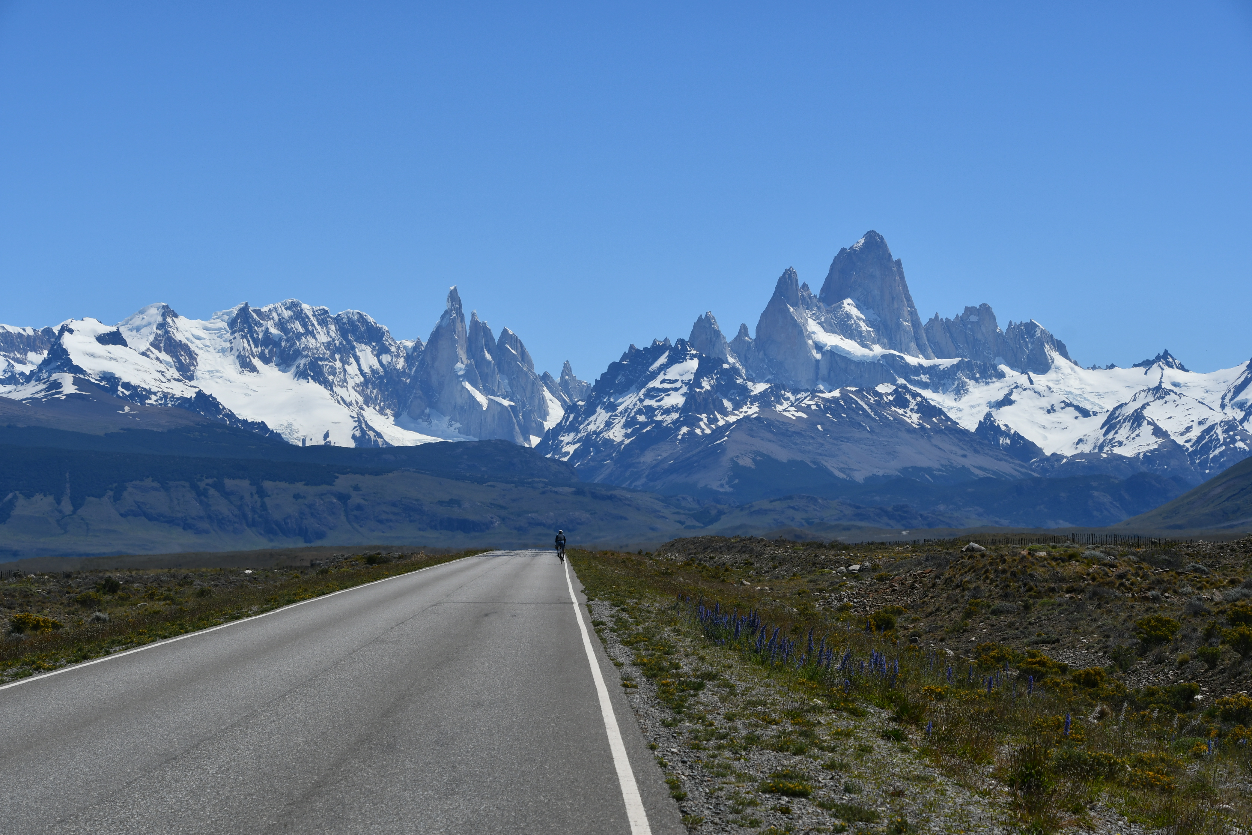 Calafate foto 6