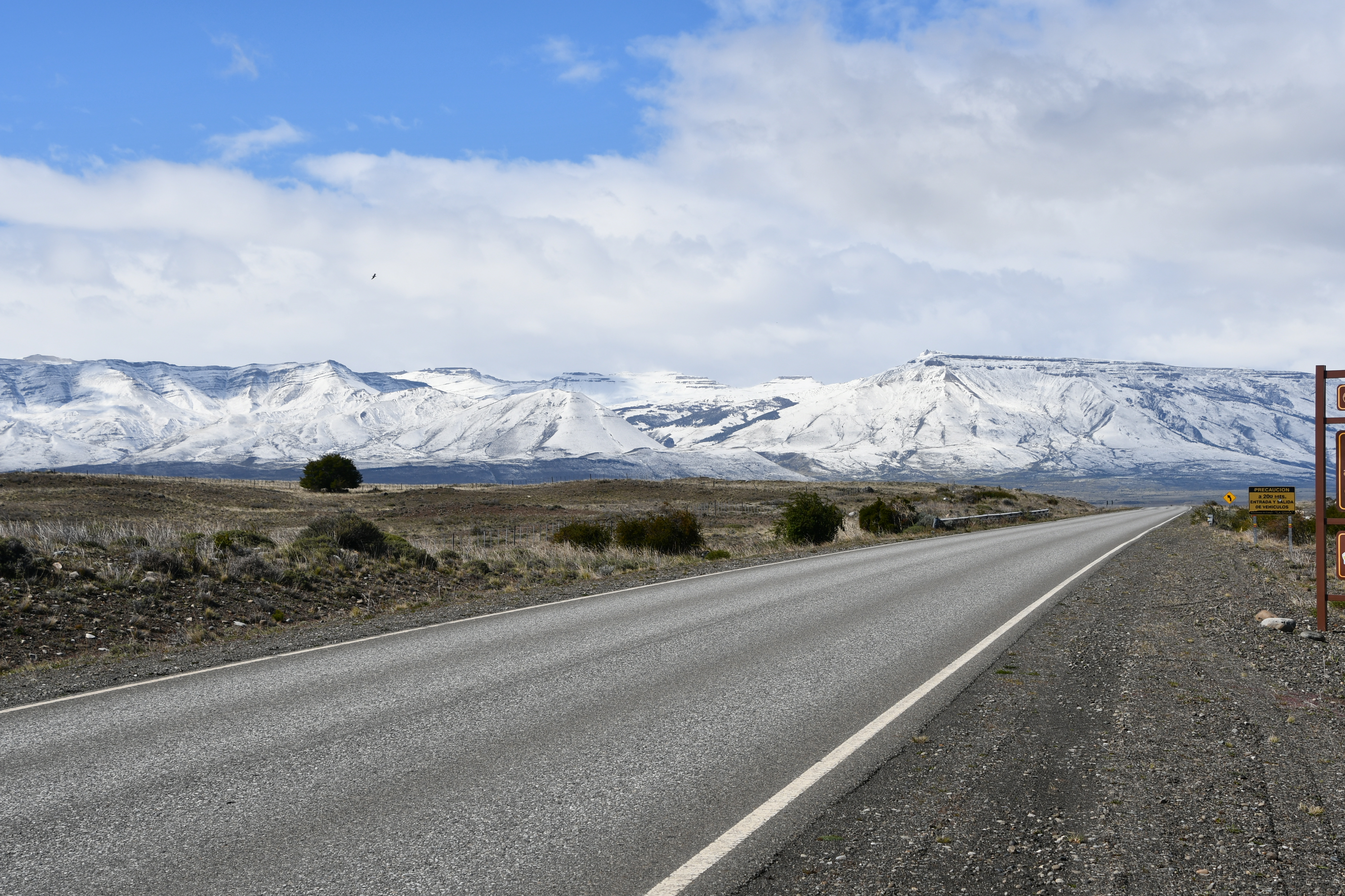 Calafate foto 7