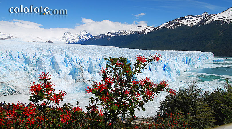 Excursion Glaciar Perito Moreno Tradicional Excursiones Y Hoteles En El Calafate
